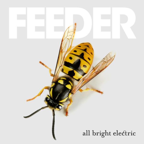Feeder: All Bright Electric (Deluxe)