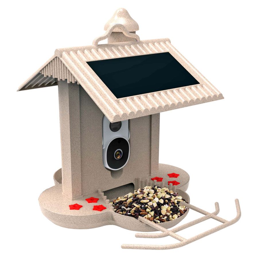 Hibirds - HiBird - Smart Bird Feeder with 1080HD camera, Wifi and AI ...