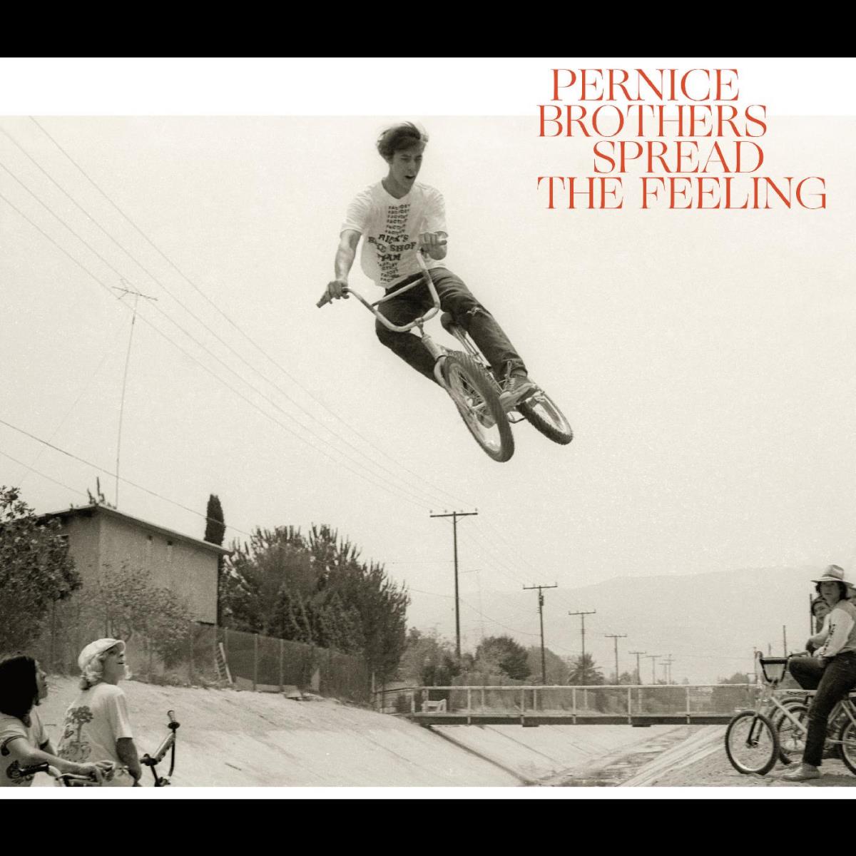 Pernice Brothers: Spread the feeling 2019