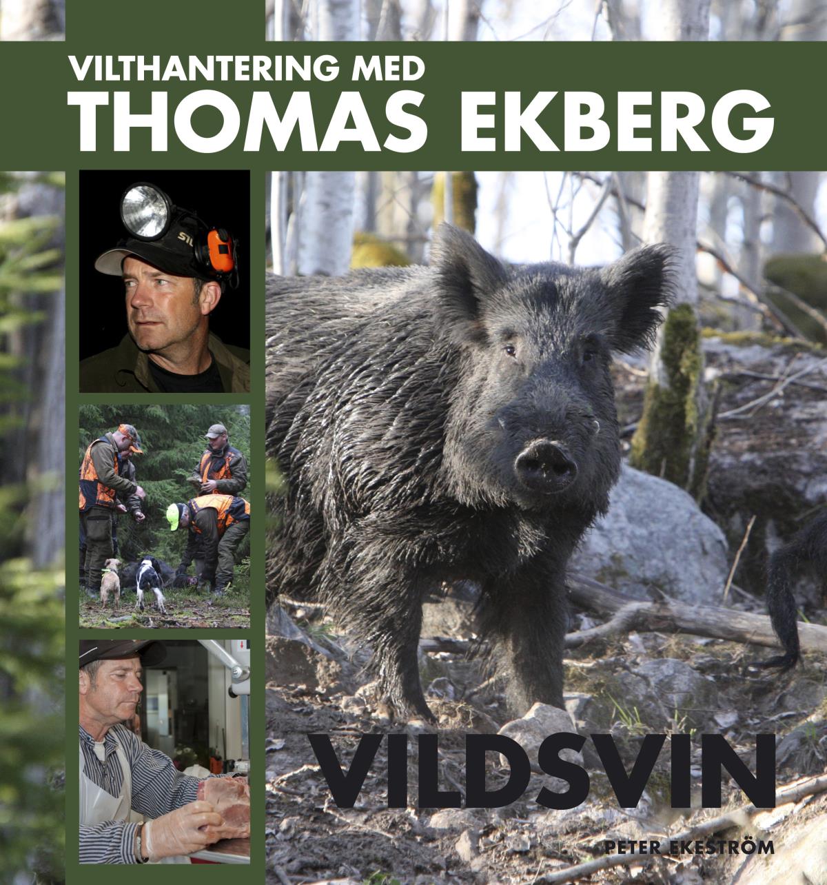 Vilthantering Med Thomas Ekberg - Vildsvin