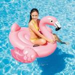 Intex: Flamingo Ride-On