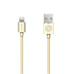 Champion: Lightning kabel 2m Gold