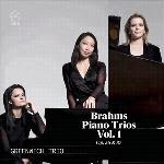 Piano Trios Vol 1 Op 36 & 87