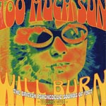 Too Much Sun Will Burn / British Psychedelic...