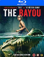 The Bayou