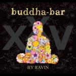 Buddha Bar XXV