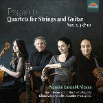 Quartets For Strings & Guitar