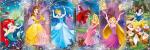 1000 pcs. PANORAMA PRINCESS