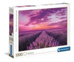 1000 pcs High Quality Collection Lavender Field