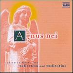 Agnus Dei/Reflection And Meditation