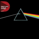 Dark side of the moon -73 (2011/Rem)