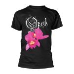 Orchid (XL)