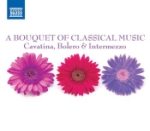 A Bouquet Of Classical Music
