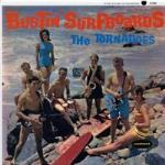 Bustin` Surfboards