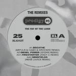 Fat Of The Land Remixes