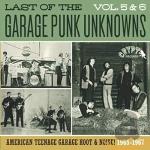 Garage Punk Unknowns Vol 5 & 6