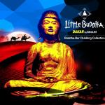Little Buddha V
