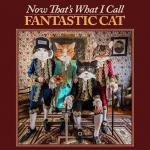 Now That`s What I Call Fantast...