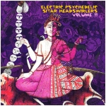 Electric Psychedelic Sitar