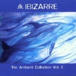 Ambient Collection Vol 2