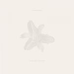 Body of Light / I Am a Cloud
