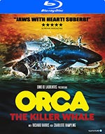 Orca / The killer whale