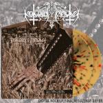 Weltanschauung (Splatter)