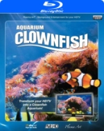 Plasma Art / Aquarium - Clownfish