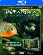 Plasma Art / Piranha Rainforest Habitat