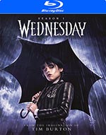 Wednesday -  Season 1 (ej svensk text)