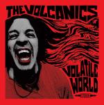 Volatile World