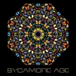 Sycamore Age
