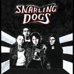 Snarling Dogs