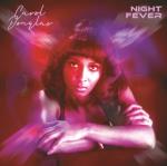The Disco Sound of (RSD 2024)