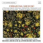 Sinfonia/Concerto for 2 Flutes/Maes