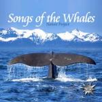 Songs Of The Whales