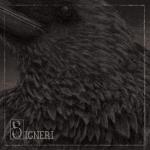 Signeri