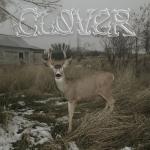 Clover (White Cassette)