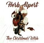 Christmas Wish