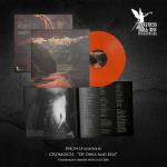 Of Owls and Eels (Orange)