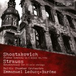 Chamber Symphony in c Minor Op 110
