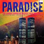 Paradise Regained - The Garage Sound of NY