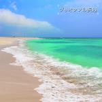 Beach of the Pliocene