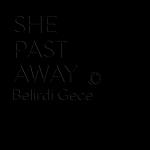 Belirdi Gece (2025 Repress)