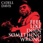 Feel Like Doin` Something Wrong