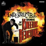 Indestructible Sounds Of...
