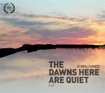 Dawns Here Are Quiet