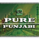 Pure Punjabi 2