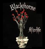 Afterlife (Expanded)