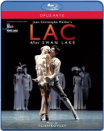 Lac After Swan Lake